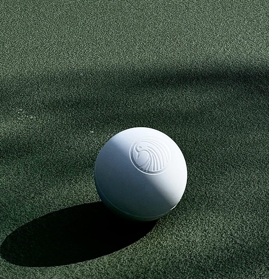 B30C8054-6265-4902-A9A5-691C045CE4AF The Zen Ball